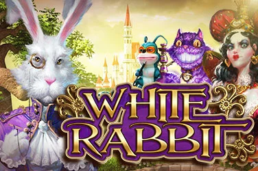 White Rabbit
