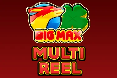 Big Max Multi Reel