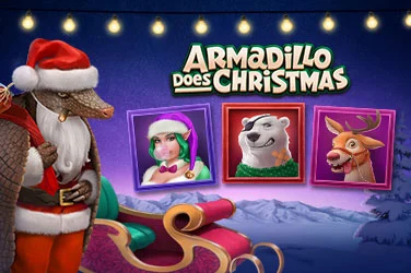 Armadillo Does Christmas