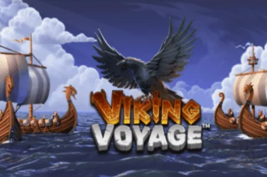 Viking Voyage