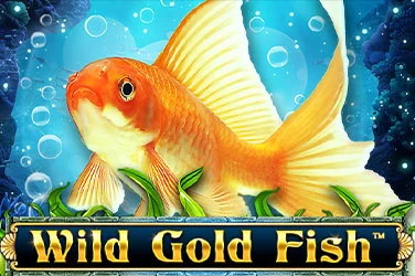 Wild Gold Fish