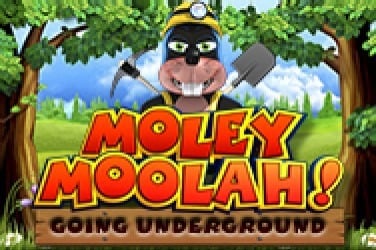 Moley Moolah