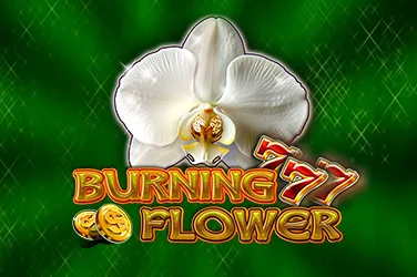 Burninng Flower